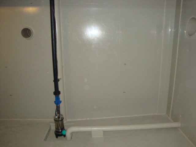 dsc00768.jpg